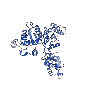 22419_7jpq_E_v1-1
ORC-O2-5: Human Origin Recognition Complex (ORC) with subunits 2,3,4,5