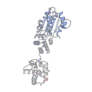 22420_7jpr_A_v1-0
ORC-OPEN: Human Origin Recognition Complex (ORC) in an open conformation