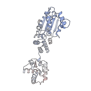 22420_7jpr_A_v1-1
ORC-OPEN: Human Origin Recognition Complex (ORC) in an open conformation