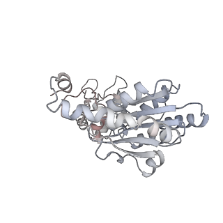 22420_7jpr_B_v1-1
ORC-OPEN: Human Origin Recognition Complex (ORC) in an open conformation