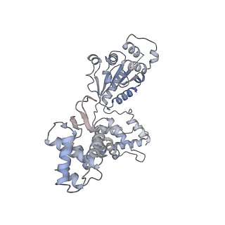 22420_7jpr_D_v1-0
ORC-OPEN: Human Origin Recognition Complex (ORC) in an open conformation