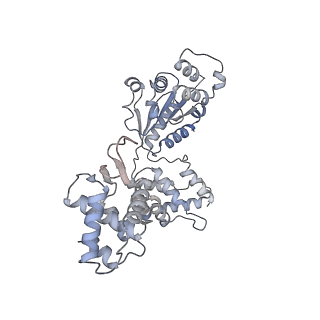 22420_7jpr_D_v1-1
ORC-OPEN: Human Origin Recognition Complex (ORC) in an open conformation