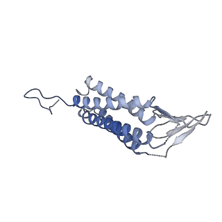 22426_7jpx_E_v1-2
Rabbit Cav1.1 in the presence of 100 micromolar amlodipine in nanodiscs at 2.9 Angstrom resolution