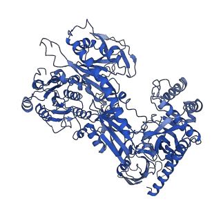 22426_7jpx_F_v1-2
Rabbit Cav1.1 in the presence of 100 micromolar amlodipine in nanodiscs at 2.9 Angstrom resolution