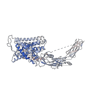 36465_8jp0_A_v1-1
structure of human sodium-calciumexchanger NCX1
