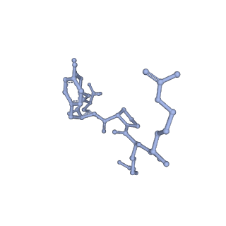 36474_8jpb_L_v1-2
cryo-EM structure of NTSR1-GRK2-Galpha(q) complexes 1