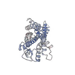 36474_8jpb_R_v1-2
cryo-EM structure of NTSR1-GRK2-Galpha(q) complexes 1