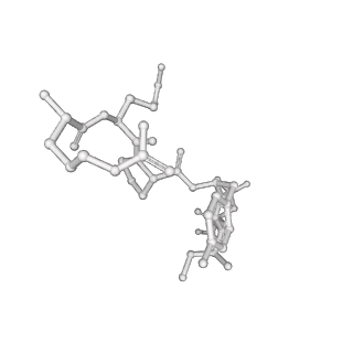 36475_8jpc_L_v1-2
cryo-EM structure of NTSR1-GRK2-Galpha(q) complexes 2