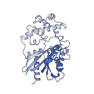 36475_8jpc_Q_v1-2
cryo-EM structure of NTSR1-GRK2-Galpha(q) complexes 2