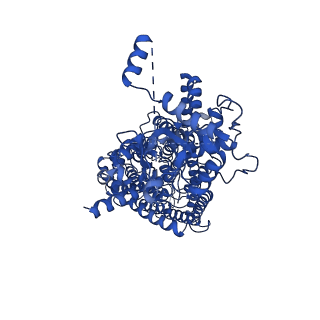 36485_8jpo_B_v1-0
Cryo-EM structure of ATP bound human ClC-6