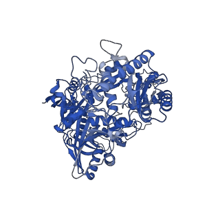 36489_8jpx_A_v1-0
Cryo-EM structure of PfAgo-guide DNA-target DNA complex