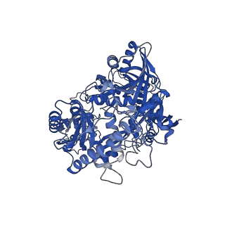 36489_8jpx_B_v1-0
Cryo-EM structure of PfAgo-guide DNA-target DNA complex