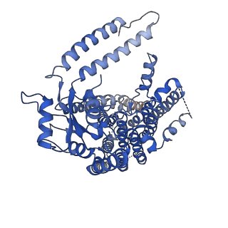 6822_6jpf_B_v1-1
Structure of atOSCA1.1 channel at 3.52A