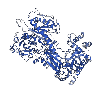 9869_6jpb_F_v1-2
Rabbit Cav1.1-Diltiazem Complex