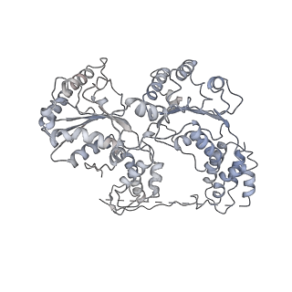 9870_6jpq_A_v1-0
CryoEM structure of Abo1 hexamer - ADP complex
