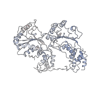 9870_6jpq_A_v1-1
CryoEM structure of Abo1 hexamer - ADP complex