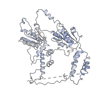 9870_6jpq_B_v1-0
CryoEM structure of Abo1 hexamer - ADP complex