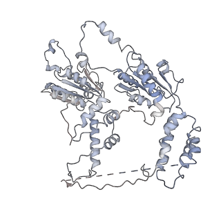 9870_6jpq_B_v1-1
CryoEM structure of Abo1 hexamer - ADP complex