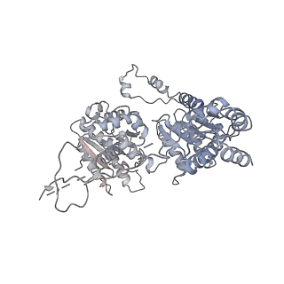 9870_6jpq_C_v1-0
CryoEM structure of Abo1 hexamer - ADP complex