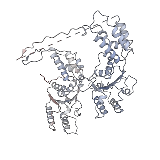 9870_6jpq_D_v1-0
CryoEM structure of Abo1 hexamer - ADP complex