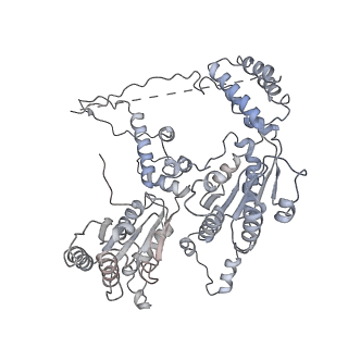 9870_6jpq_E_v1-0
CryoEM structure of Abo1 hexamer - ADP complex