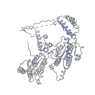 9870_6jpq_E_v1-1
CryoEM structure of Abo1 hexamer - ADP complex