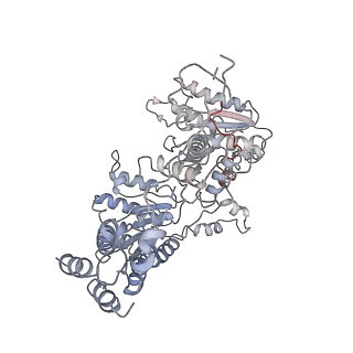 9871_6jpu_A_v1-1
CryoEM structure of Abo1 hexamer - apo complex
