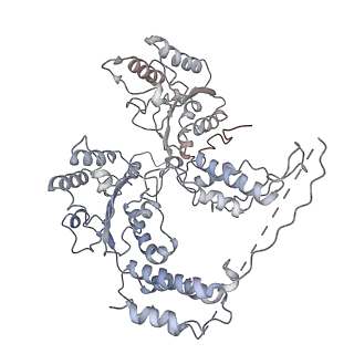 9871_6jpu_B_v1-1
CryoEM structure of Abo1 hexamer - apo complex