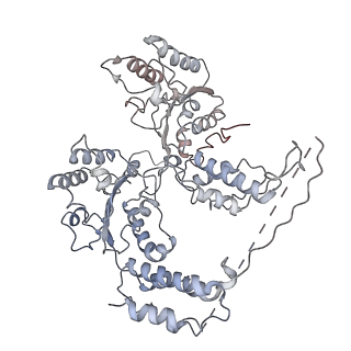 9871_6jpu_B_v1-2
CryoEM structure of Abo1 hexamer - apo complex