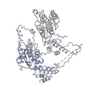 9871_6jpu_C_v1-1
CryoEM structure of Abo1 hexamer - apo complex