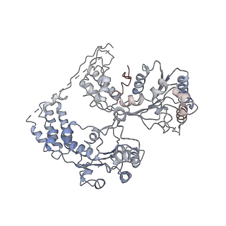 9871_6jpu_E_v1-1
CryoEM structure of Abo1 hexamer - apo complex