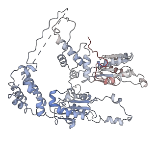 9871_6jpu_F_v1-2
CryoEM structure of Abo1 hexamer - apo complex