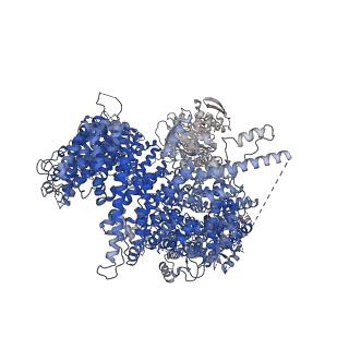 22427_7jq9_A_v1-2
Cryo-EM structure of human HUWE1