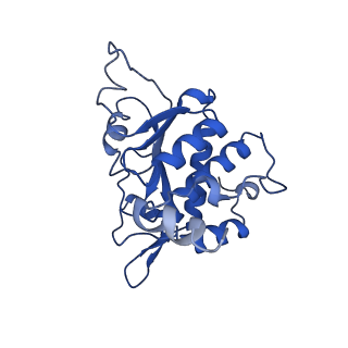 22432_7jqb_B_v1-2
SARS-CoV-2 Nsp1 and rabbit 40S ribosome complex