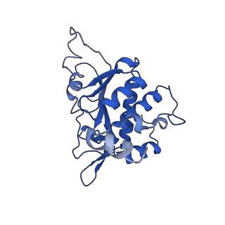 22432_7jqb_B_v1-3
SARS-CoV-2 Nsp1 and rabbit 40S ribosome complex