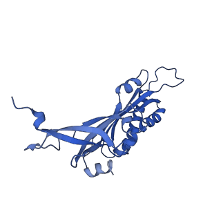 22432_7jqb_C_v1-2
SARS-CoV-2 Nsp1 and rabbit 40S ribosome complex