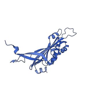 22432_7jqb_C_v1-3
SARS-CoV-2 Nsp1 and rabbit 40S ribosome complex