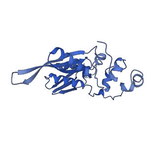 22432_7jqb_D_v1-2
SARS-CoV-2 Nsp1 and rabbit 40S ribosome complex