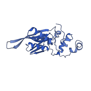 22432_7jqb_D_v1-3
SARS-CoV-2 Nsp1 and rabbit 40S ribosome complex