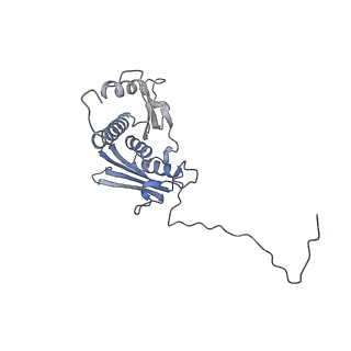 22432_7jqb_E_v1-3
SARS-CoV-2 Nsp1 and rabbit 40S ribosome complex