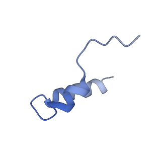 22432_7jqb_F_v1-2
SARS-CoV-2 Nsp1 and rabbit 40S ribosome complex