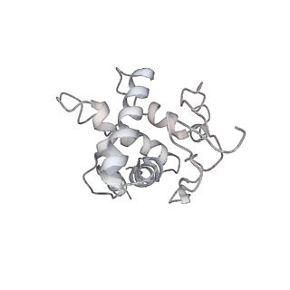 22432_7jqb_G_v1-2
SARS-CoV-2 Nsp1 and rabbit 40S ribosome complex