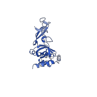 22432_7jqb_J_v1-2
SARS-CoV-2 Nsp1 and rabbit 40S ribosome complex