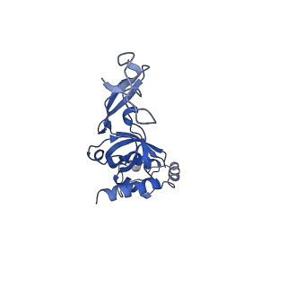 22432_7jqb_J_v1-3
SARS-CoV-2 Nsp1 and rabbit 40S ribosome complex