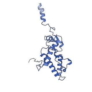 22432_7jqb_K_v1-2
SARS-CoV-2 Nsp1 and rabbit 40S ribosome complex