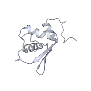 22432_7jqb_L_v1-2
SARS-CoV-2 Nsp1 and rabbit 40S ribosome complex