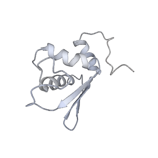 22432_7jqb_L_v1-3
SARS-CoV-2 Nsp1 and rabbit 40S ribosome complex