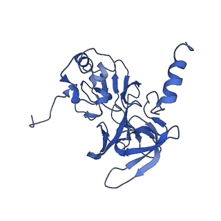 22432_7jqb_M_v1-2
SARS-CoV-2 Nsp1 and rabbit 40S ribosome complex