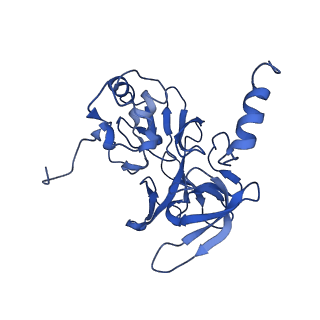 22432_7jqb_M_v1-3
SARS-CoV-2 Nsp1 and rabbit 40S ribosome complex