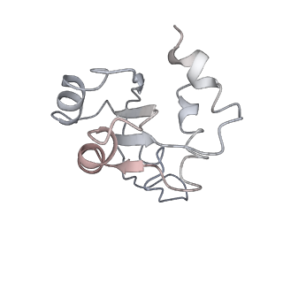 22432_7jqb_N_v1-2
SARS-CoV-2 Nsp1 and rabbit 40S ribosome complex
